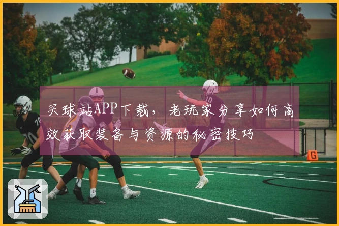 买球站APP下载，老玩家分享如何高效获取装备与资源的秘密技巧