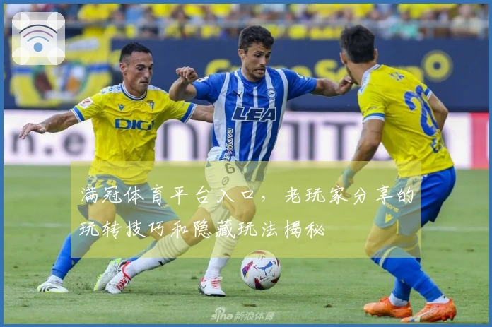 满冠体育平台入口，老玩家分享的玩转技巧和隐藏玩法揭秘