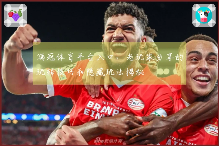 满冠体育平台入口，老玩家分享的玩转技巧和隐藏玩法揭秘